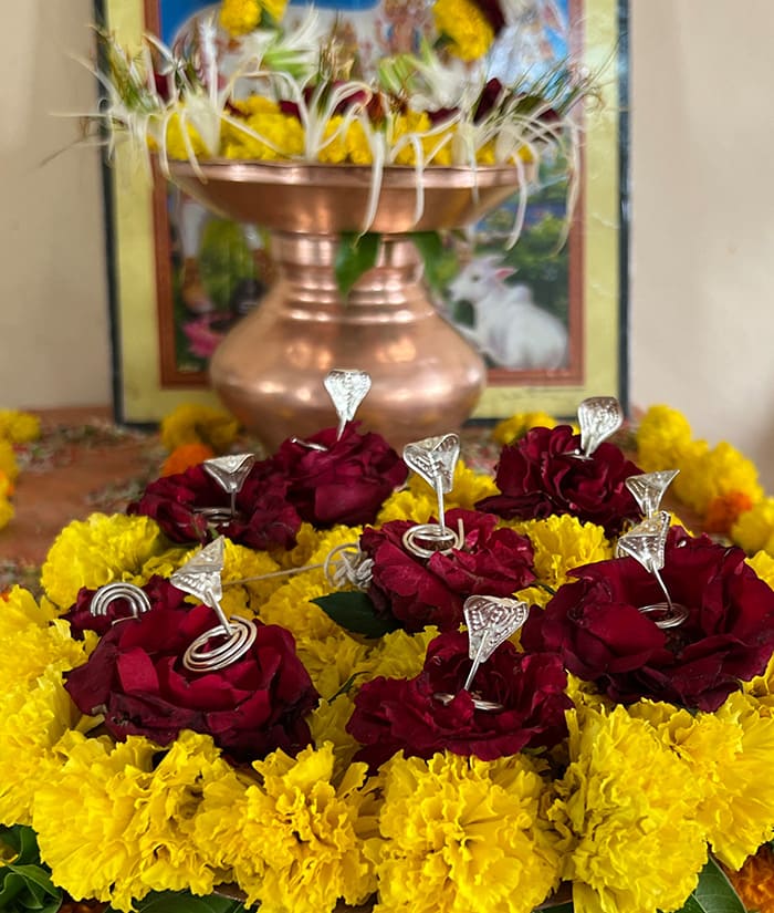 Kaalsarp Pooja