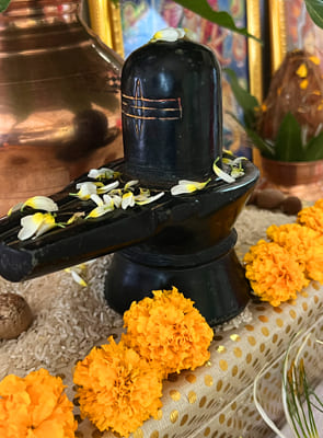 Laghu Rudra Pooja