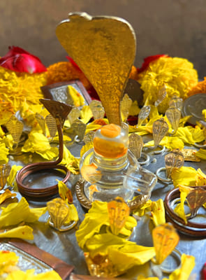 Narayan Nagbali Pooja