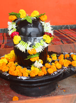 Rudrabhishek Pooja